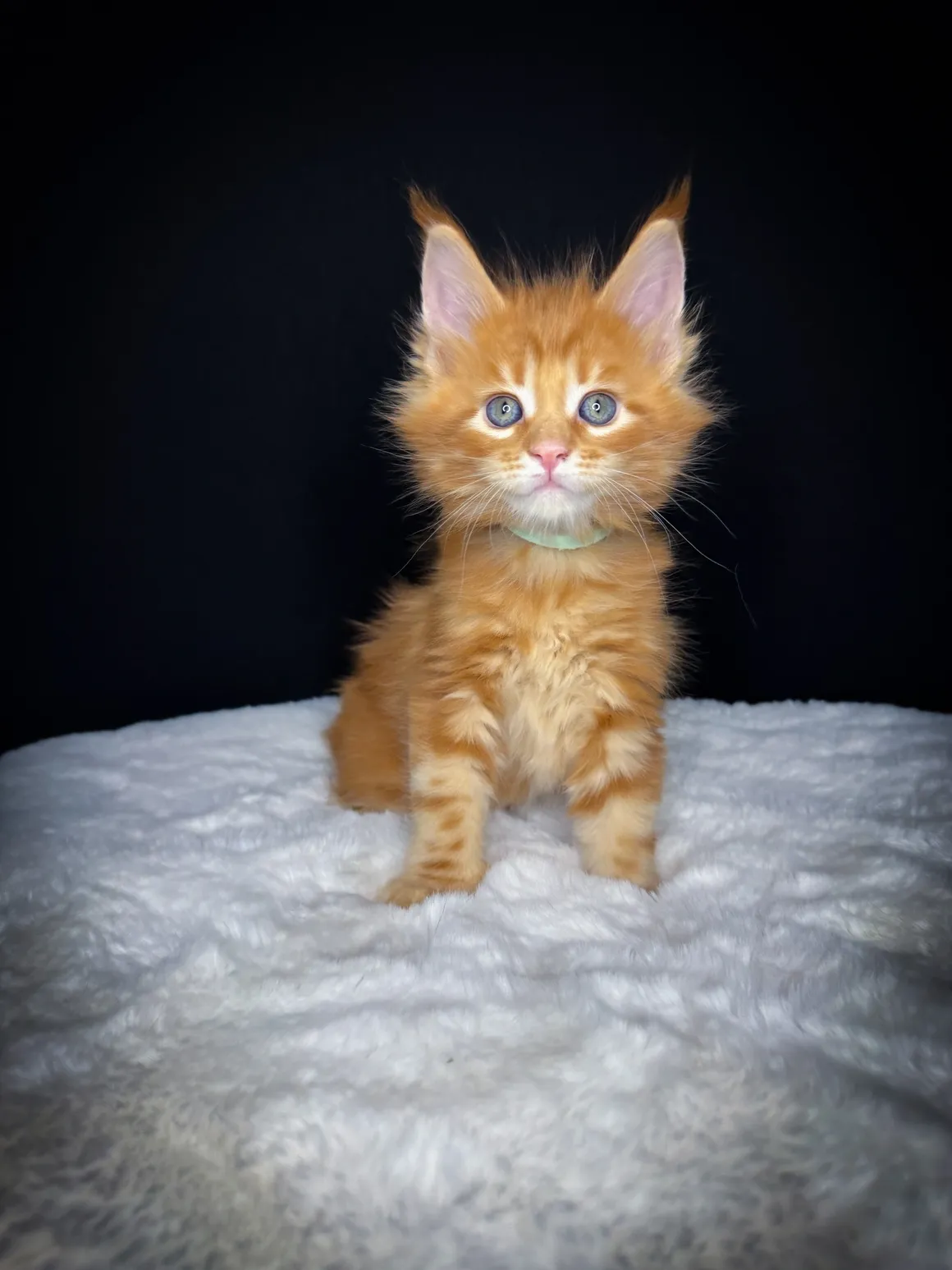 astro