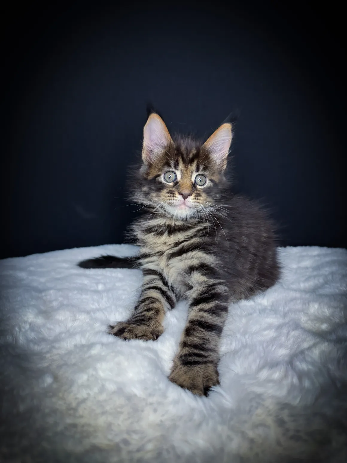 orion
